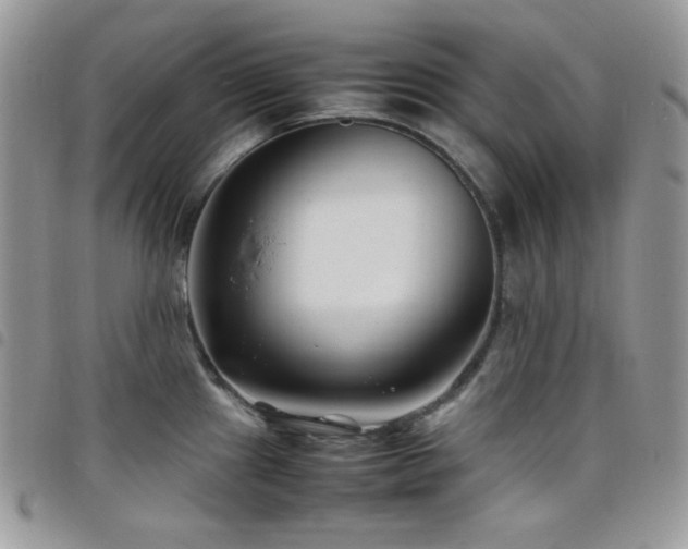 X0000098221241200804241337