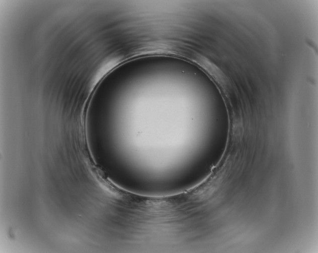 X0000098221242200804241337