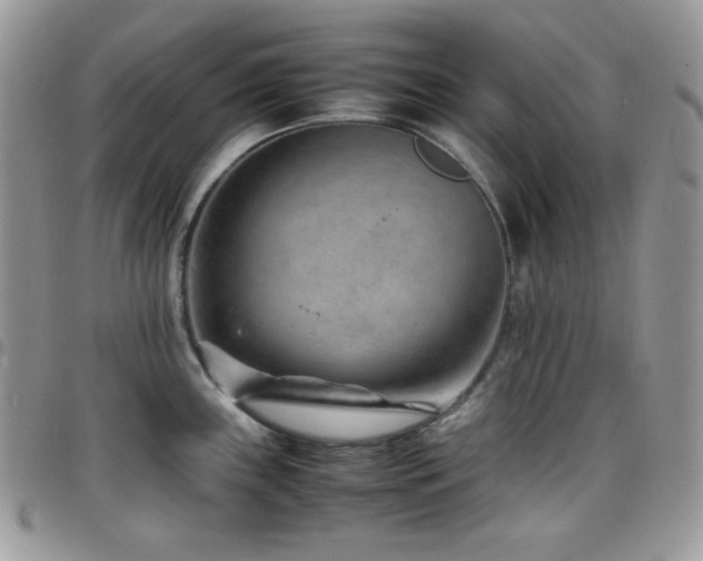 X0000098221243200804241337