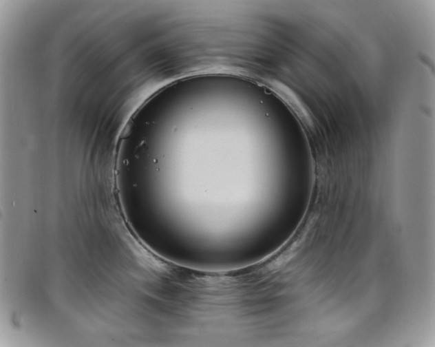 X0000098221244200804241337