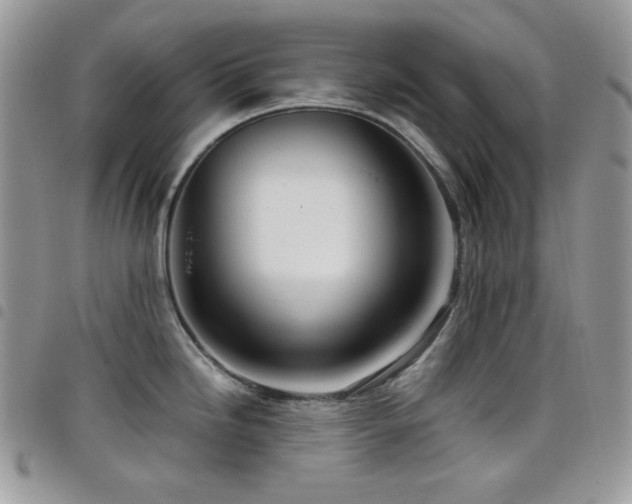 X0000098221246200804241337
