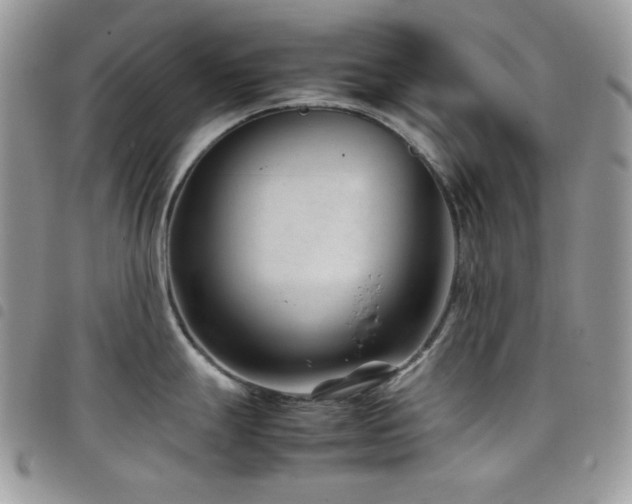 X0000098221247200804241337