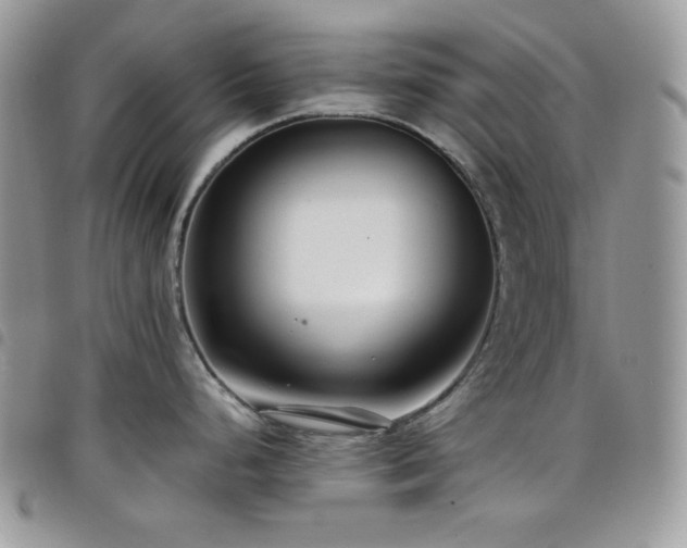 X0000098221248200804241337