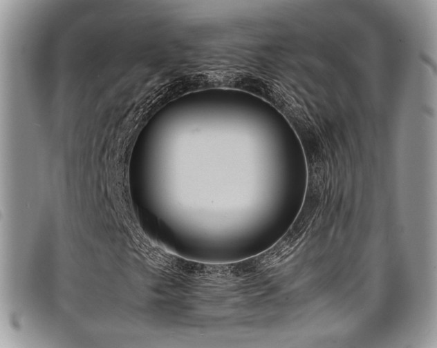 X0000098221249200804241336