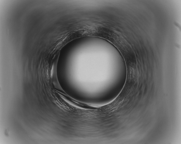 X0000098221250200804241336