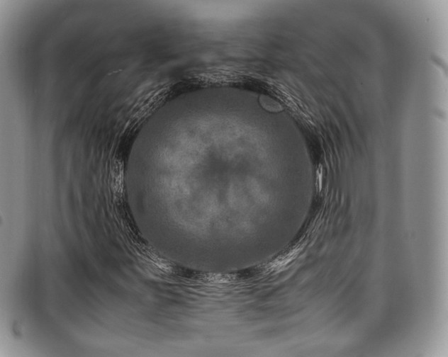 X0000098221251200804241336