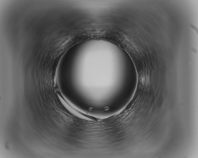 X0000098221252200804241336