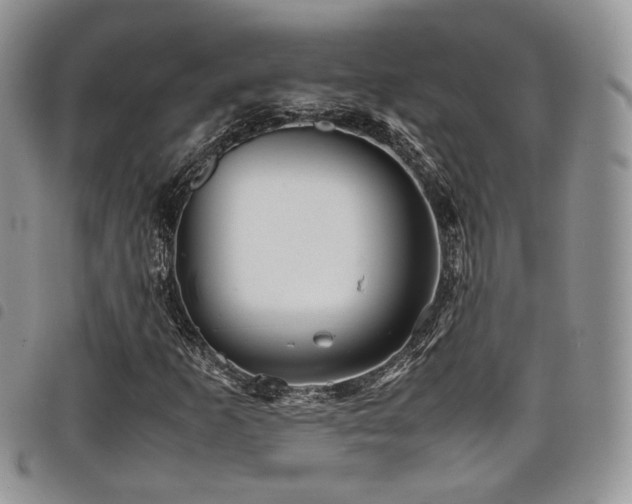 X0000098221253200804241336
