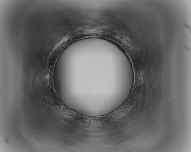 X0000098221254200804241336