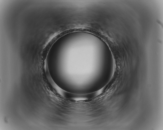 X0000098221256200804241336