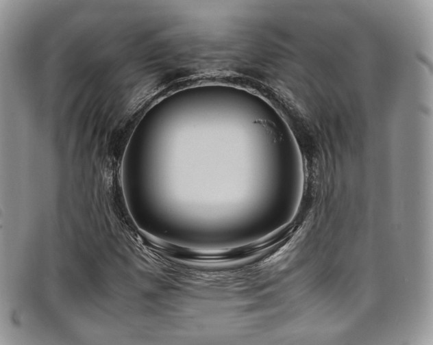 X0000098221257200804241336
