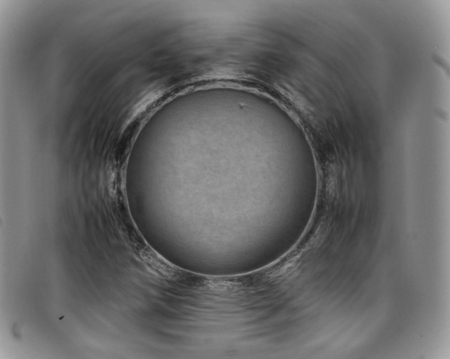 X0000098221258200804241336