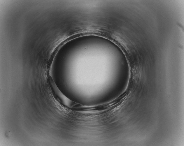 X0000098221260200804241336