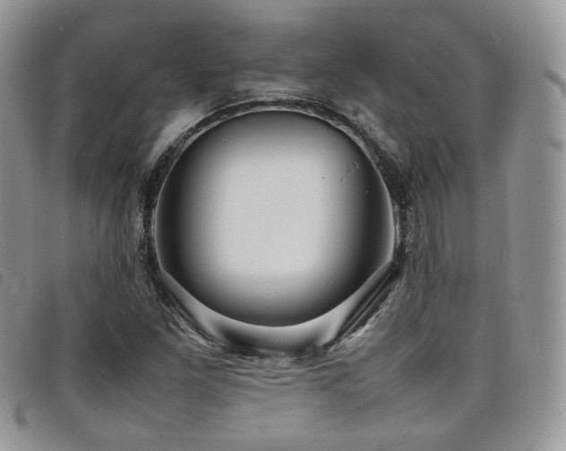 X0000098221261200804241336