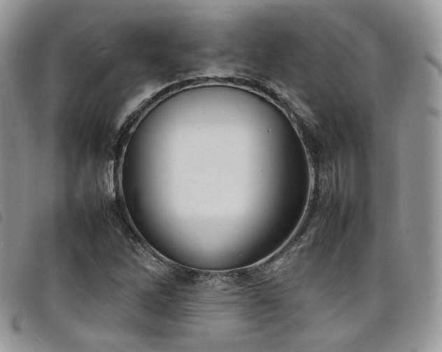 X0000098221262200804241336