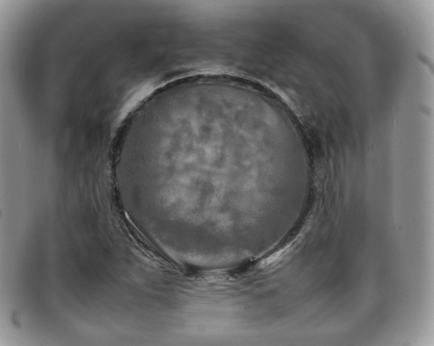 X0000098221263200804241336