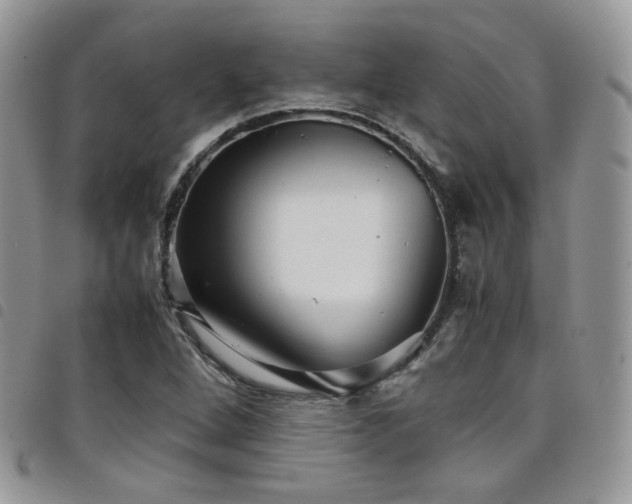 X0000098221264200804241336