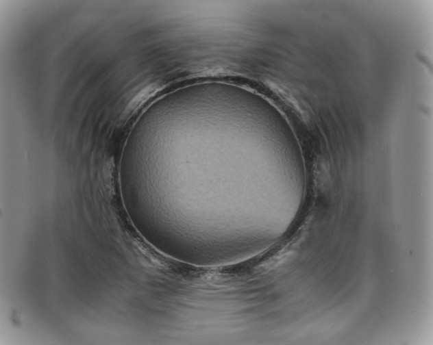 X0000098221265200804241336