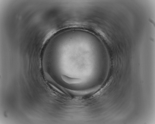 X0000098221267200804241336