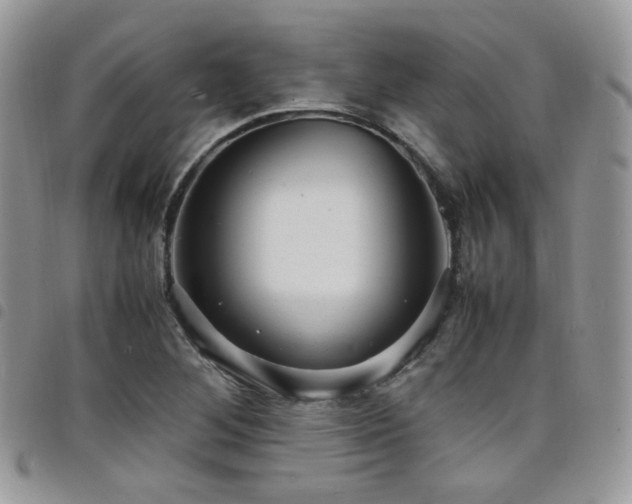 X0000098221268200804241336