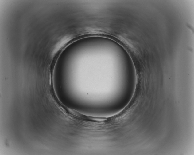 X0000098221269200804241336