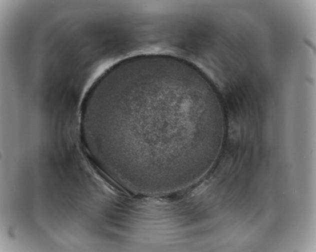 X0000098221270200804241336