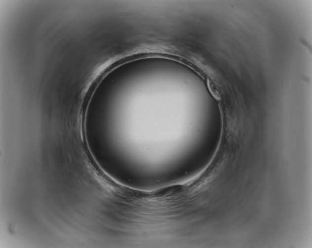 X0000098221272200804241336