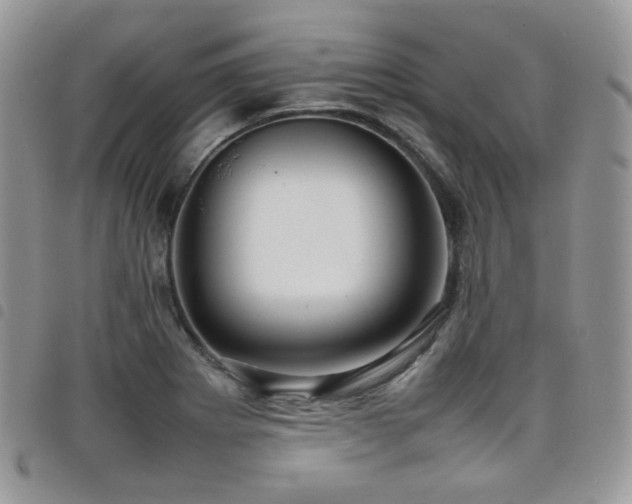 X0000098221273200804241336
