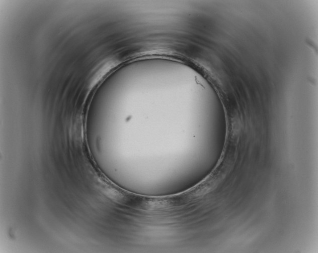 X0000098221274200804241336