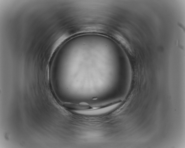 X0000098221275200804241336