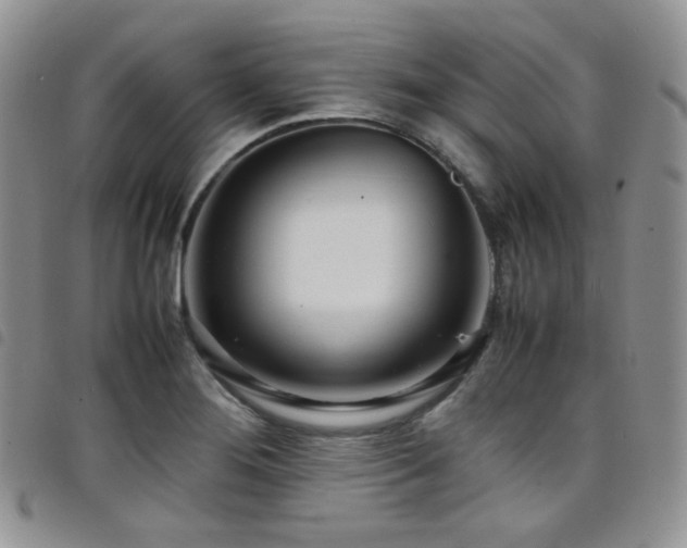 X0000098221276200804241336