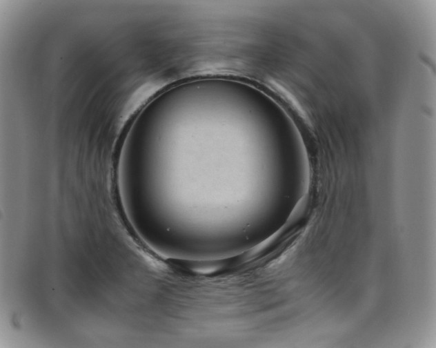 X0000098221277200804241336