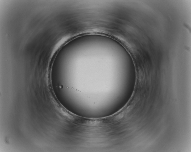 X0000098221278200804241336