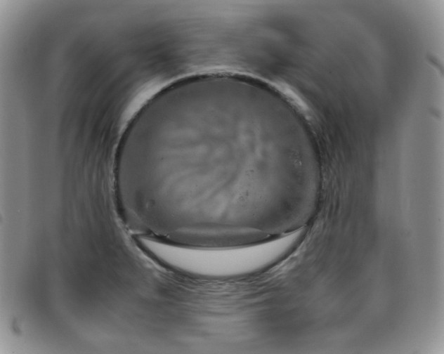 X0000098221279200804241336