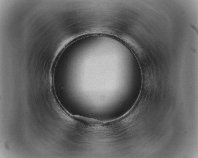 X0000098221280200804241335