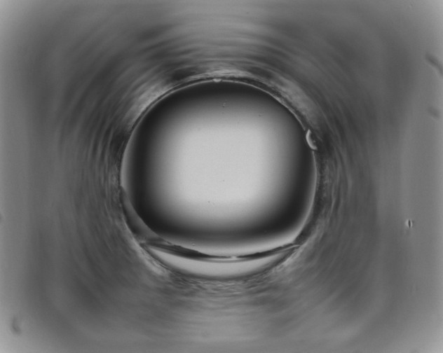 X0000098221281200804241335
