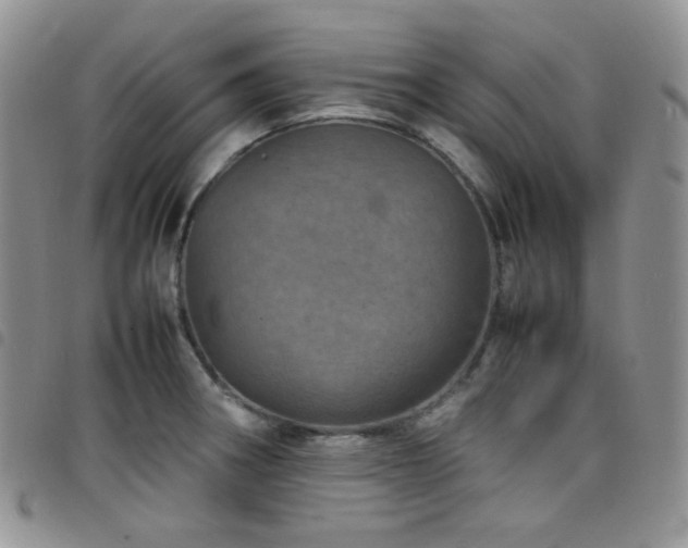 X0000098221282200804241335