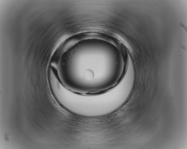 X0000098221283200804241335