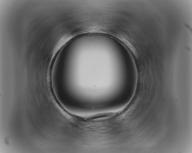 X0000098221285200804241335