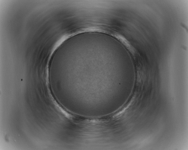 X0000098221286200804241335
