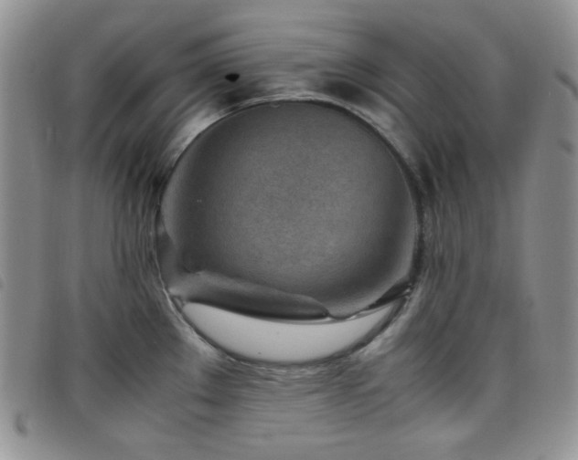 X0000098221289200804241335