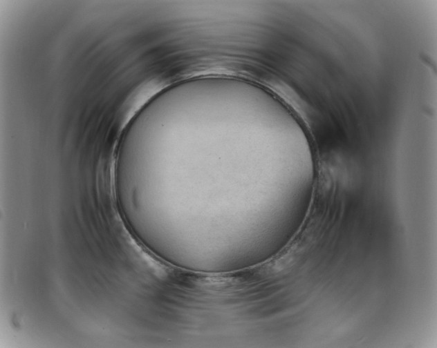 X0000098221290200804241335
