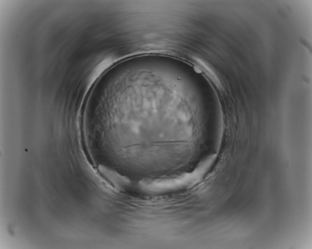 X0000098221291200804241335