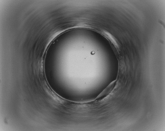 X0000098221292200804241335