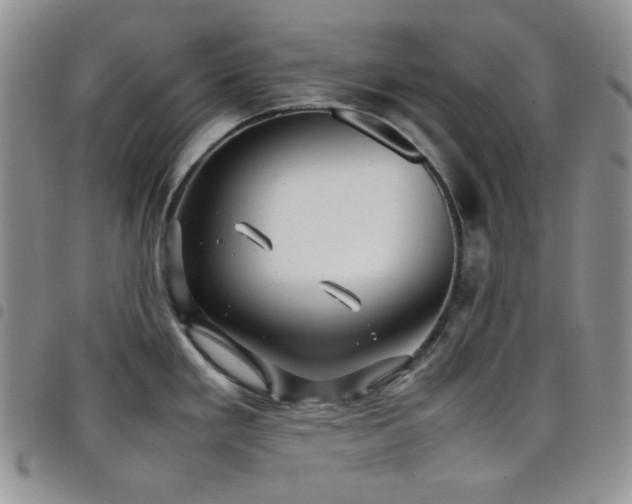 X0000098221293200804241335