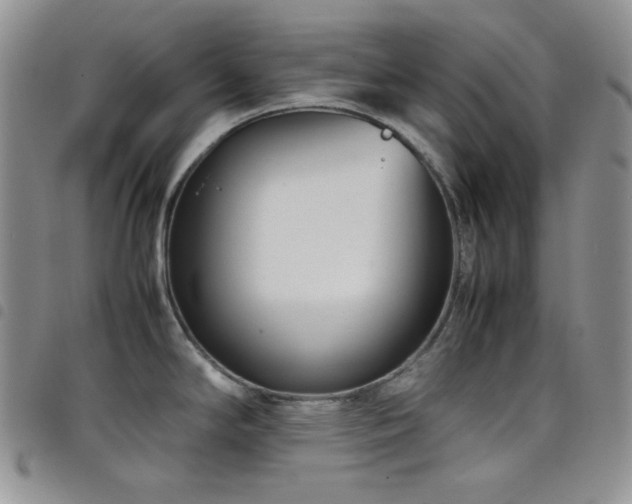 X0000098221294200804241335