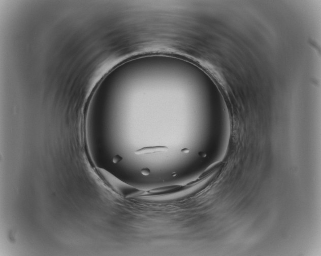 X0000098221295200804241335