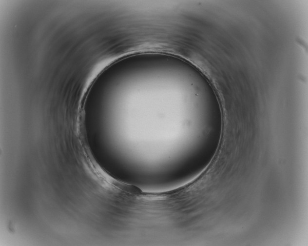 X0000098221296200804241335