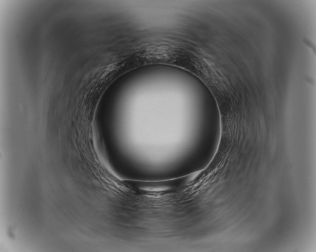 X0000098221297200804241335