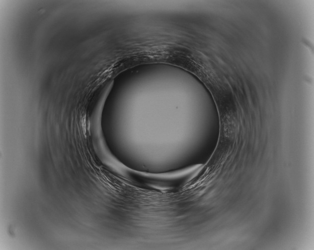 X0000098221298200804241335